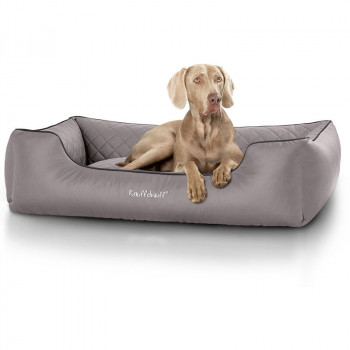 Hundebett kaufen – 5 Tipps & Wichtige Informationen